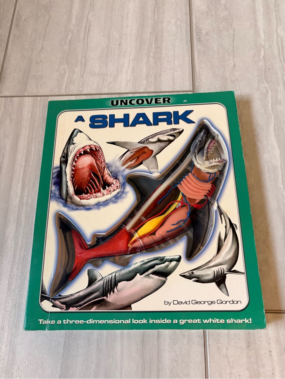 The Uncover a Shark board book by David George Gordon